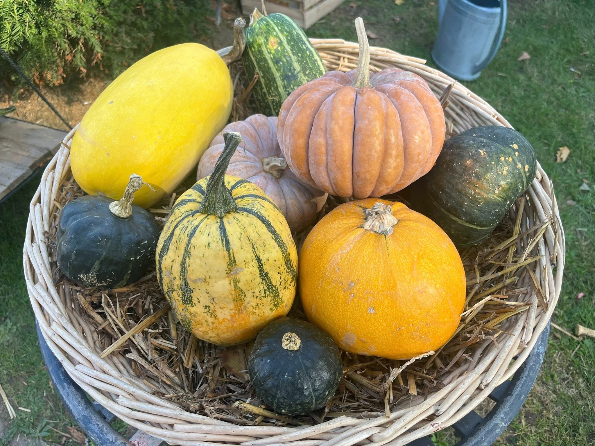 imgi_53_560649514_122151716372832148_4629159299603859043_n